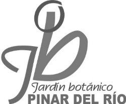 Für Kurzentschlossene Soli-Reise nach Kuba