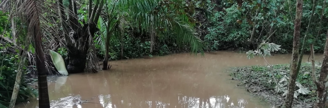 Überschwemmung im Botanischen Garten von Pinar del Rio nach dem Tropensturm Laura