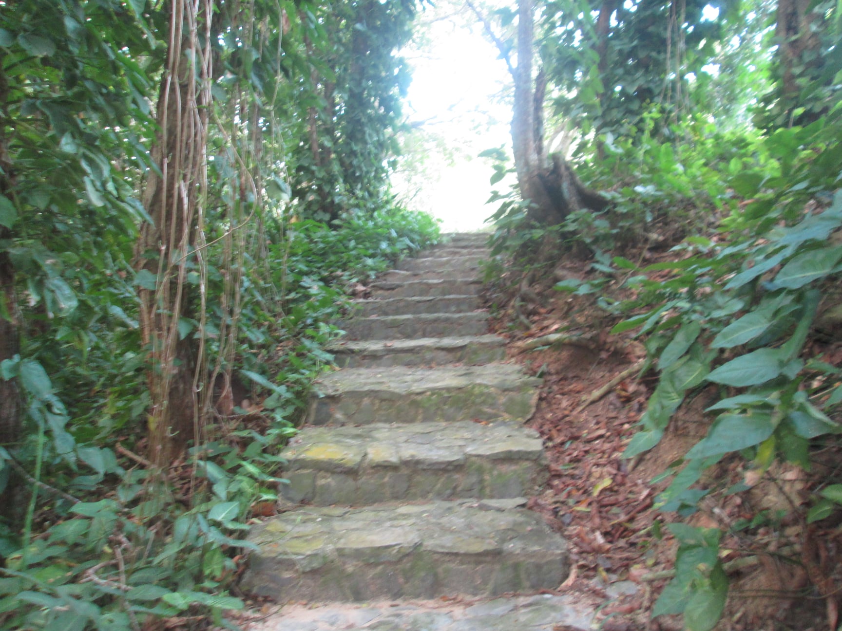 271748816 1366450127101363 892775582167891311 n