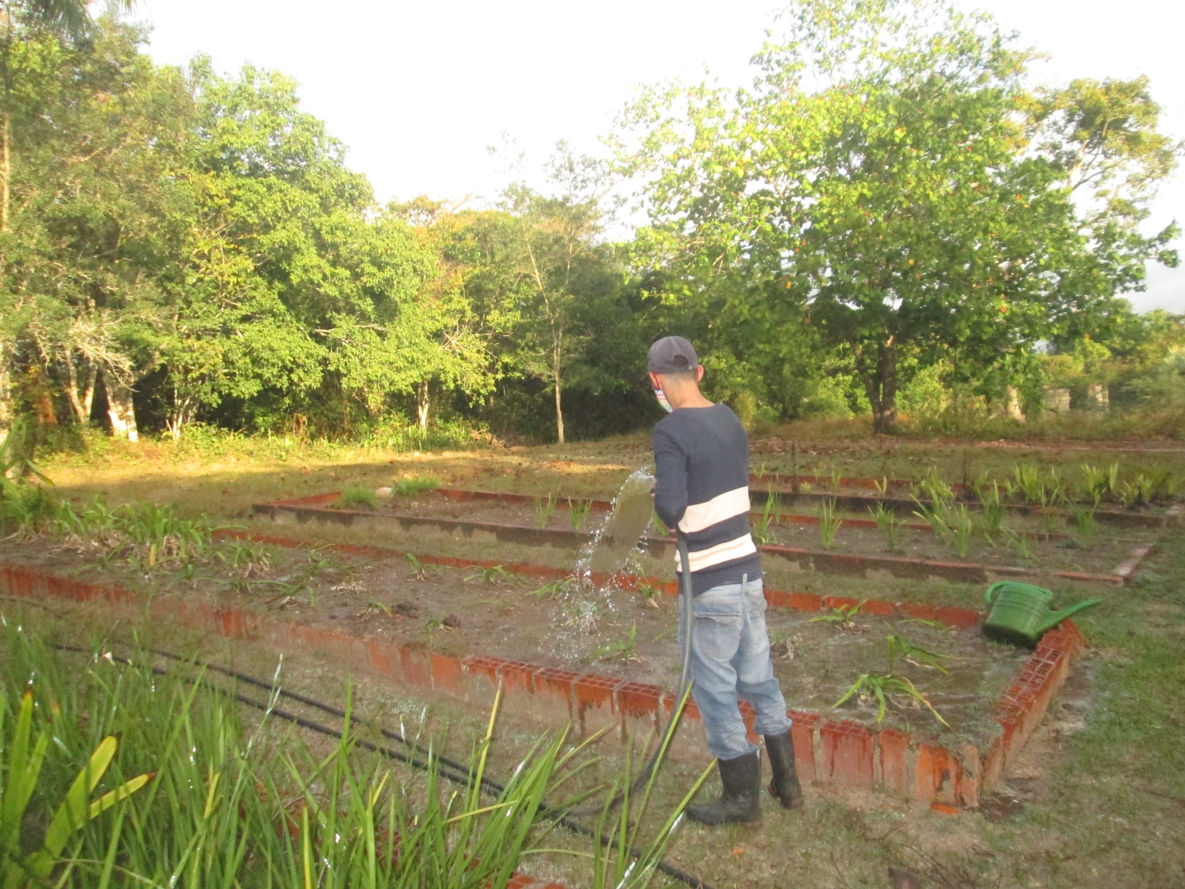 271995957 1366450440434665 2087673090344284647 n