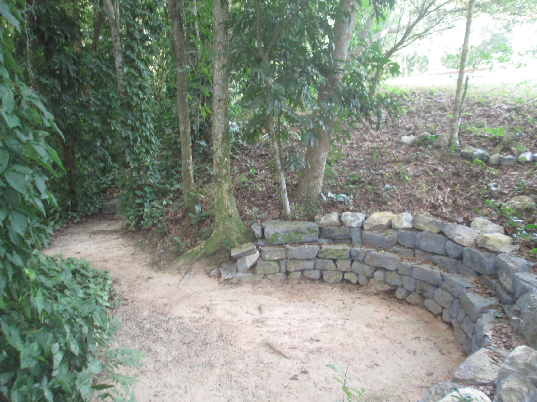 272276078 1366449813768061 8649988730596886753 n