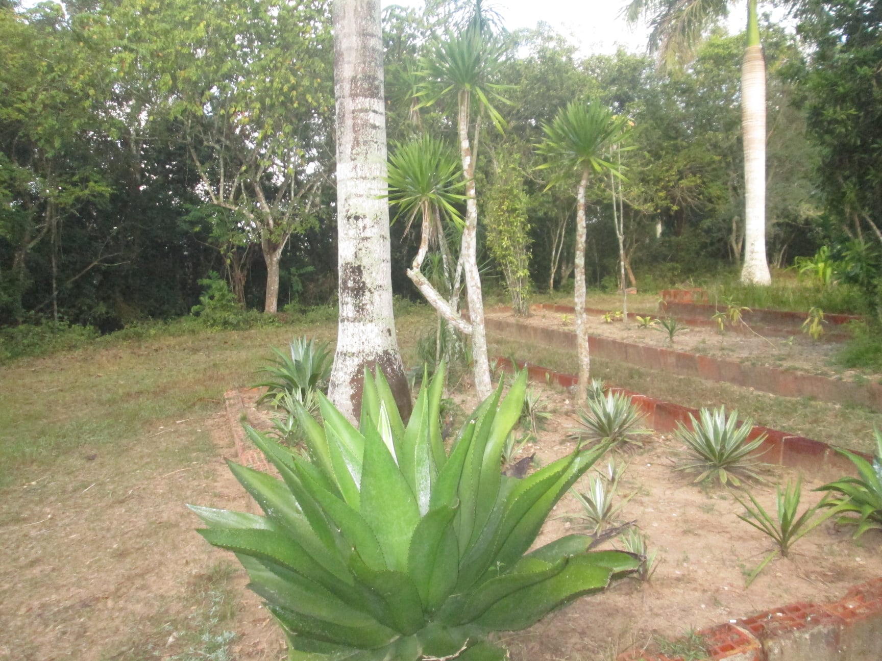 272308706 1366449740434735 8680324045838203001 n