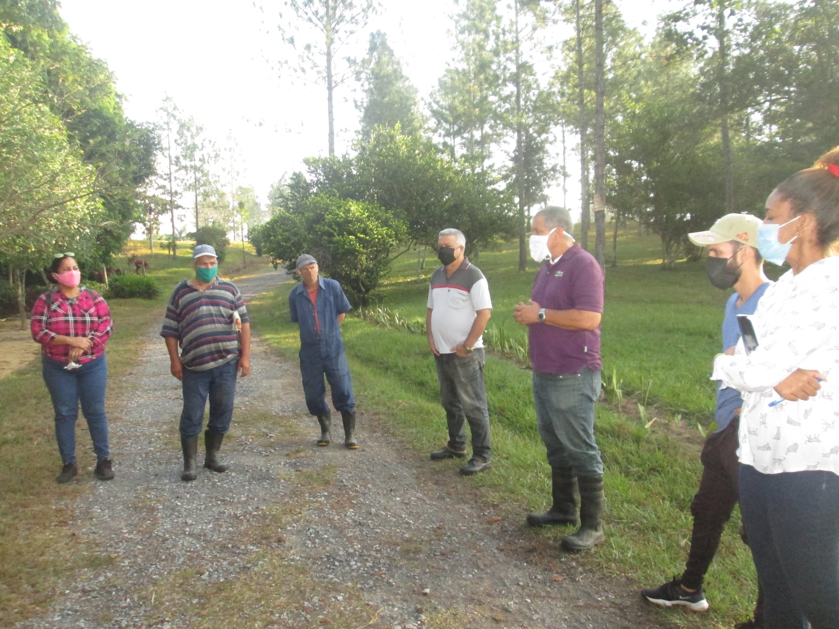 272766325 1367705730309136 8826393403448717243 n