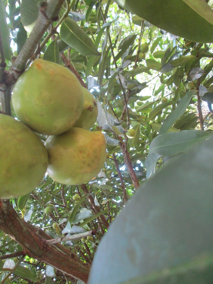 273034604 1380386889041020 2460755819756718296 n