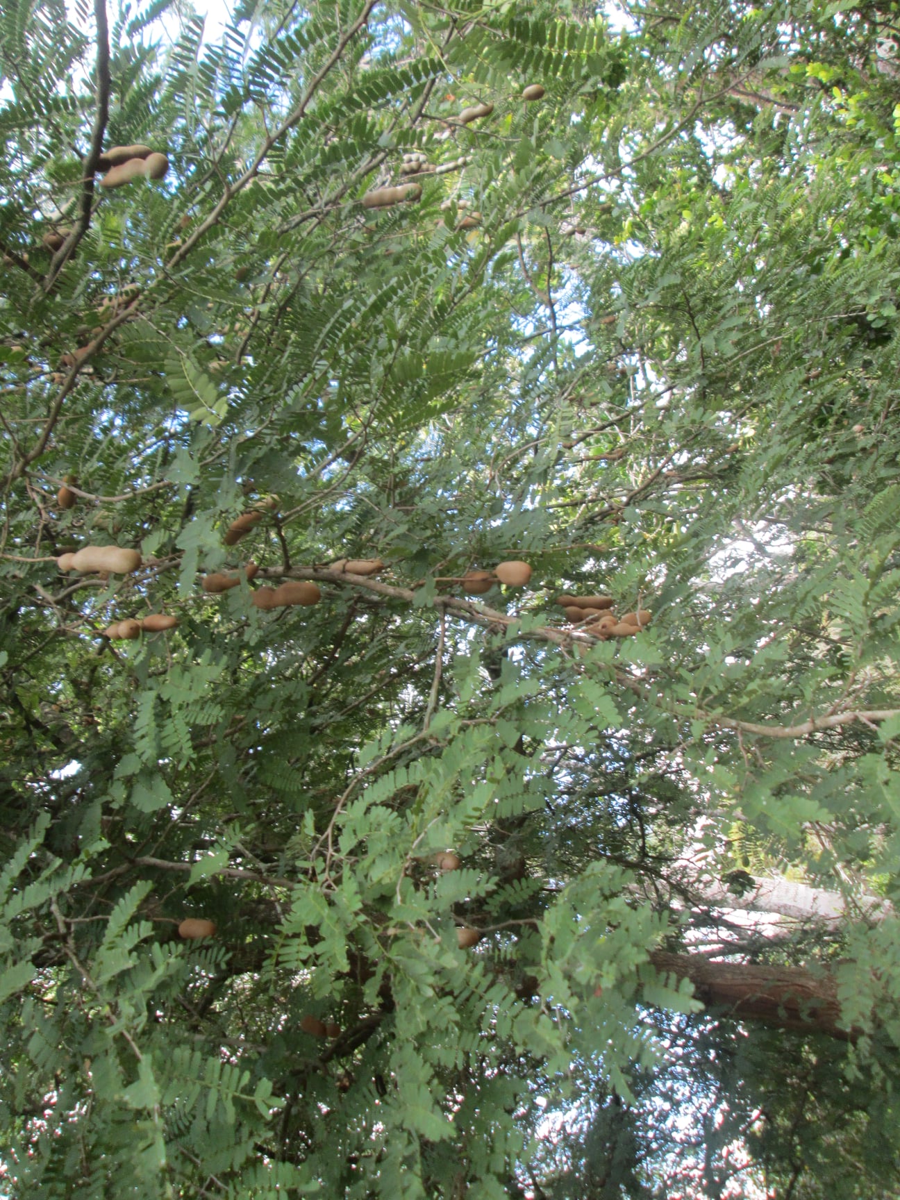 273511075 1380386955707680 8067765511798617179 n