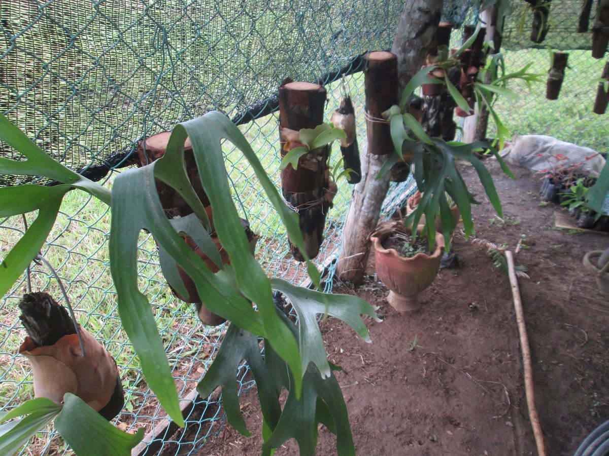 273905209 1380386029041106 6467897348636001927 n