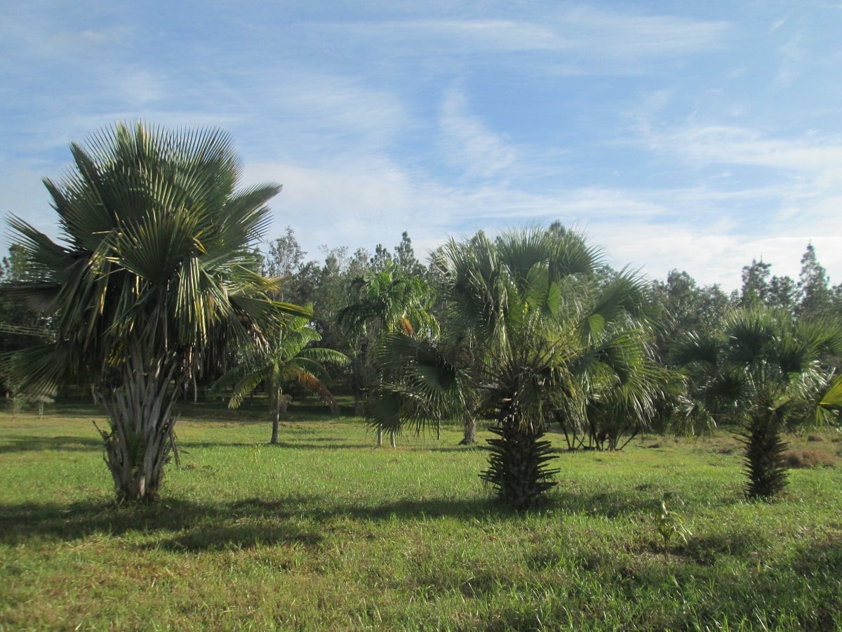 273938251 1379618735784502 1987376171668784548 n