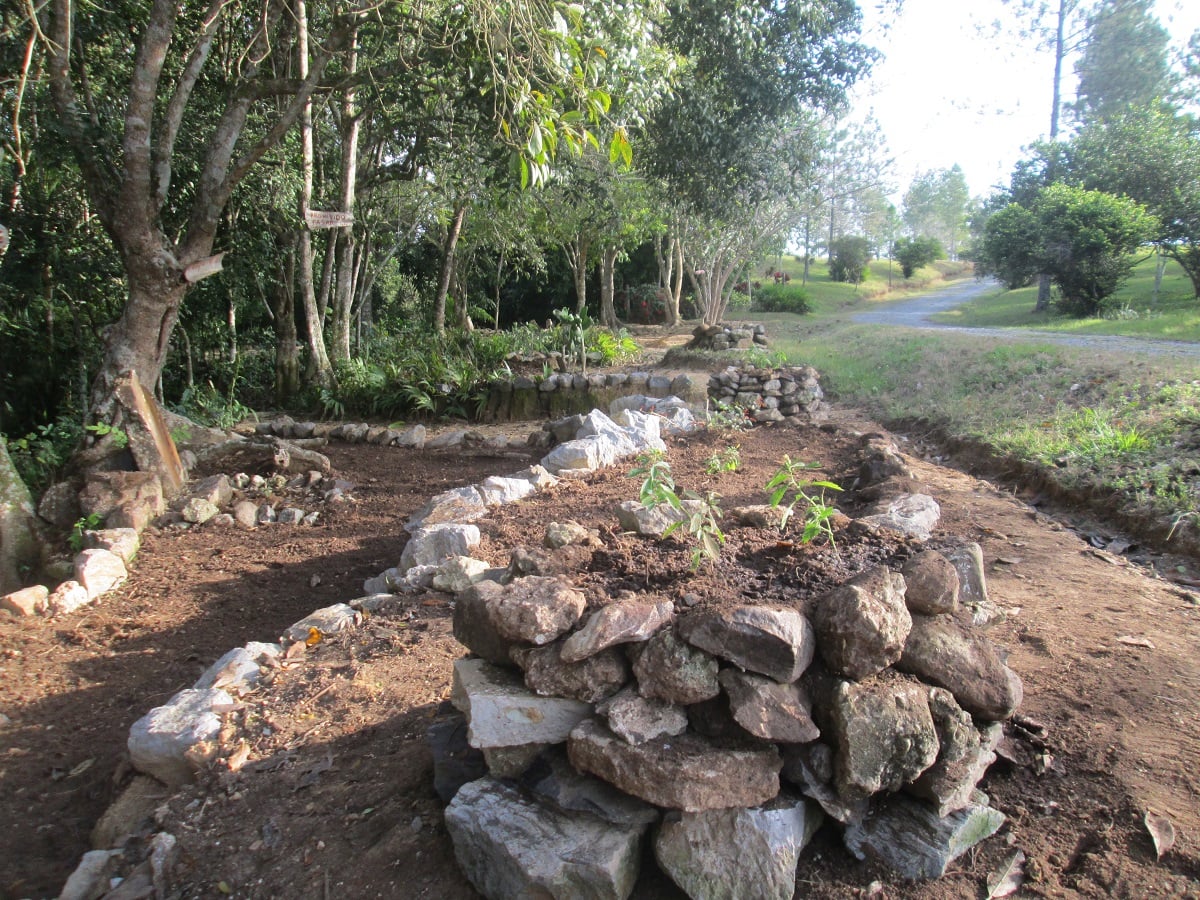 274001428 1379617889117920 7831050569467530143 n