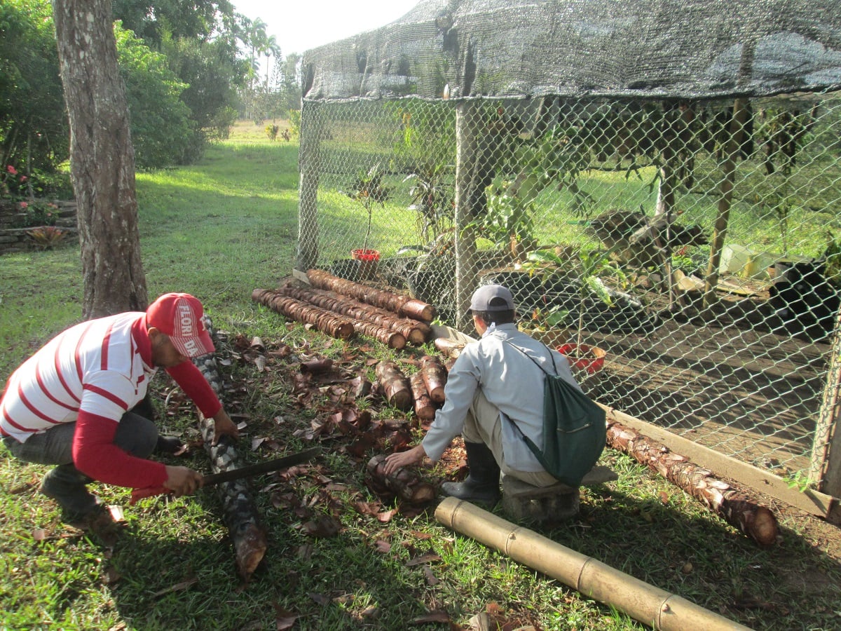 274009991 1379618829117826 4613978153624008466 n