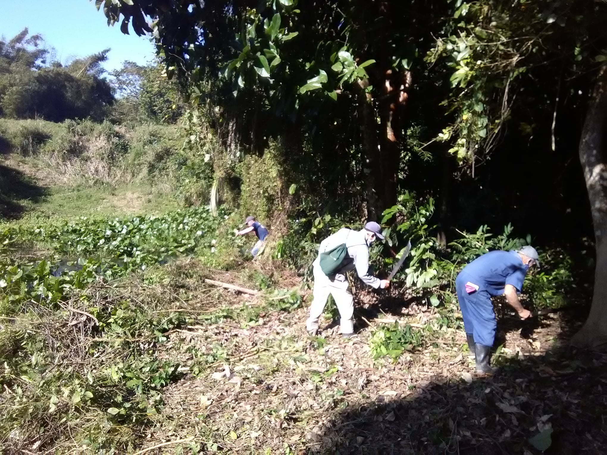 274023821 1379099762503066 8873417560802023784 n